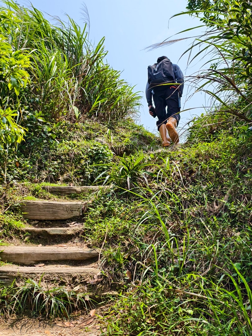 爬山日記｜金瓜石黃金稜線。茶壺山半屏山