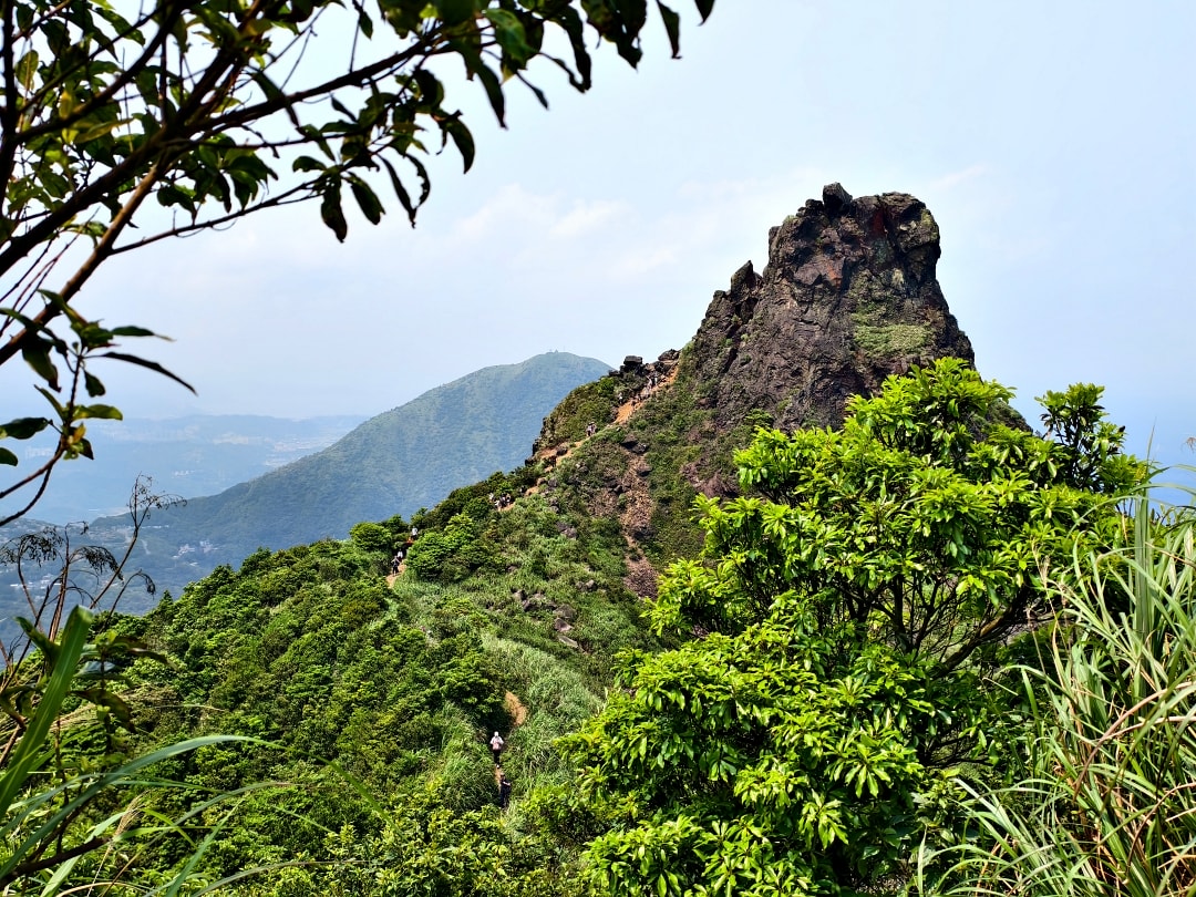 爬山日記｜金瓜石黃金稜線。茶壺山半屏山